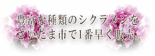 猪原園芸の紹介スマホ用