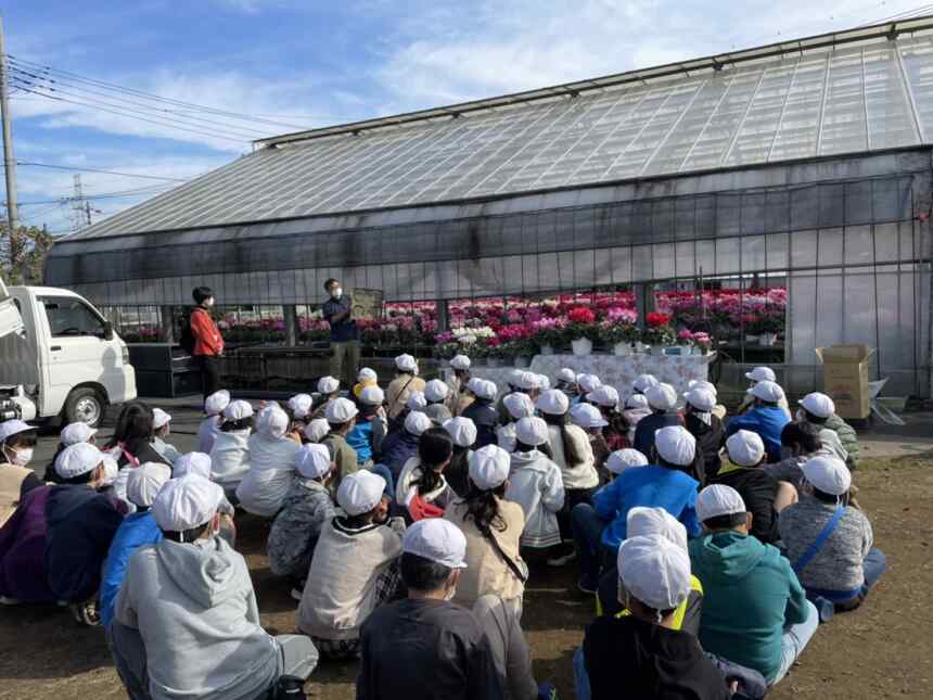 シクラメン農家の社会科見学